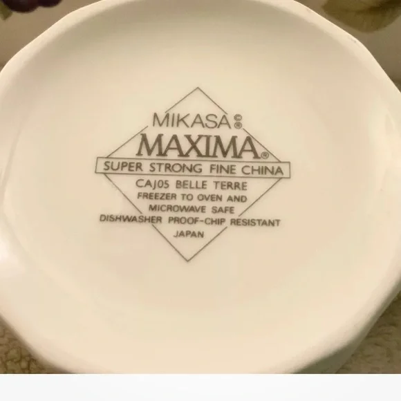 Mikasa Maxima Super Strong Fine China CAJ05 Belle Terre Set Of 8 Cups & Saucers - Picture 4 of 5